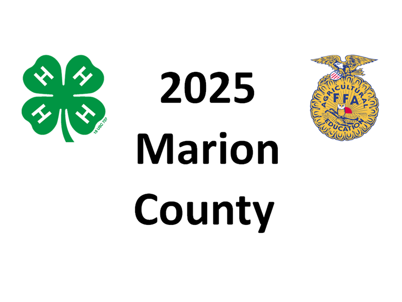 Logo for 2025 Marion County Junior Fair