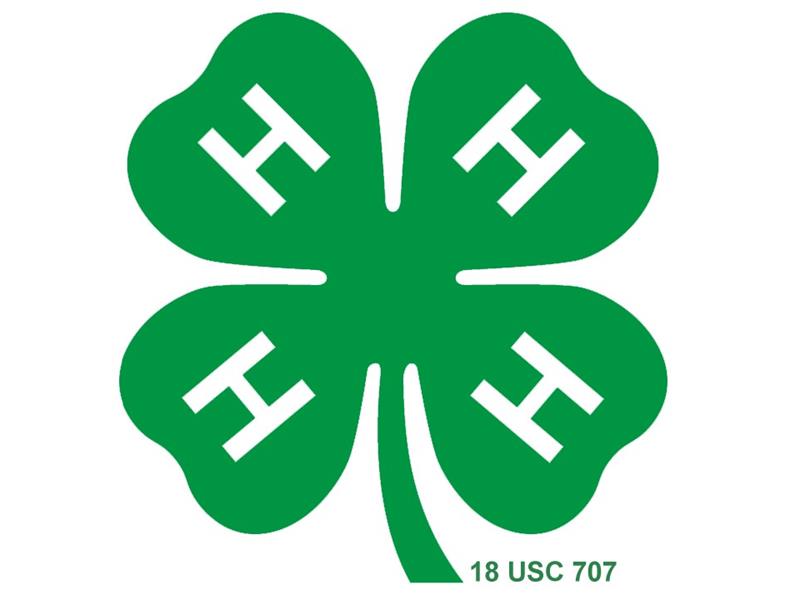 Logo for 2025 Whitley County 4-H Fair