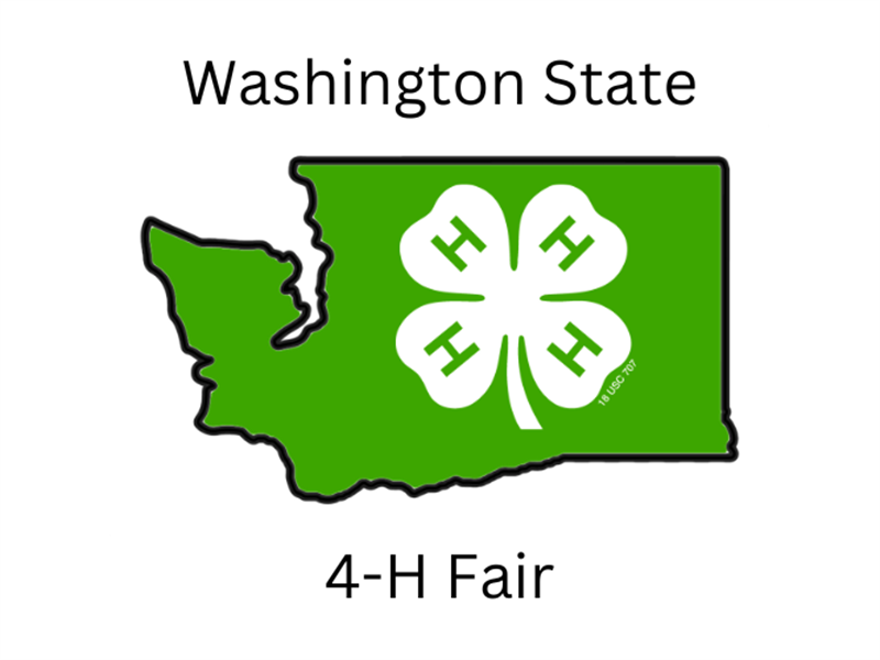 Logo for 2025 Washington State 4-H Fair